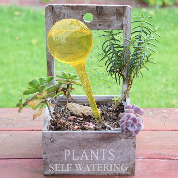 10pcs Plant Watering Globes Device, Plastic Plant SelfWatering Bulb, Flower Automatic Watering Planter Insert, Potted Plant Self