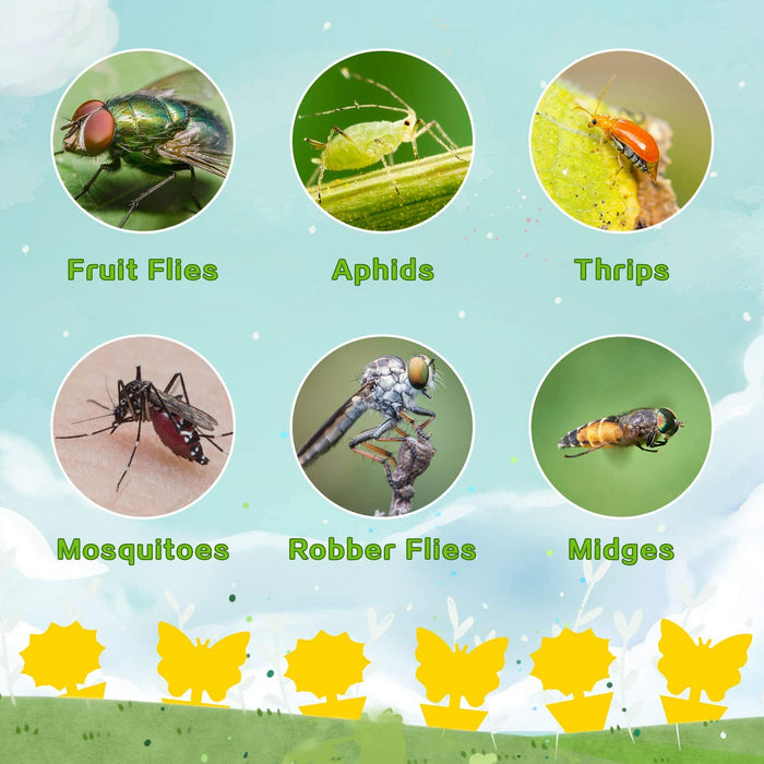 Fruit Fly Traps Fungus Gnat Traps Yellow Sticky Bug Traps 36 Pack NonToxic and Odorless for Indoor Outdoor Use Protect The Plant