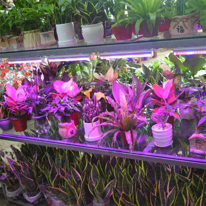 HOPLOM LED Grow Light, 2pcs T5 Tube SMD2835 High Brightness Red Blue Spectrum Plant Growing Lights Bar for Indoor Plants Veg