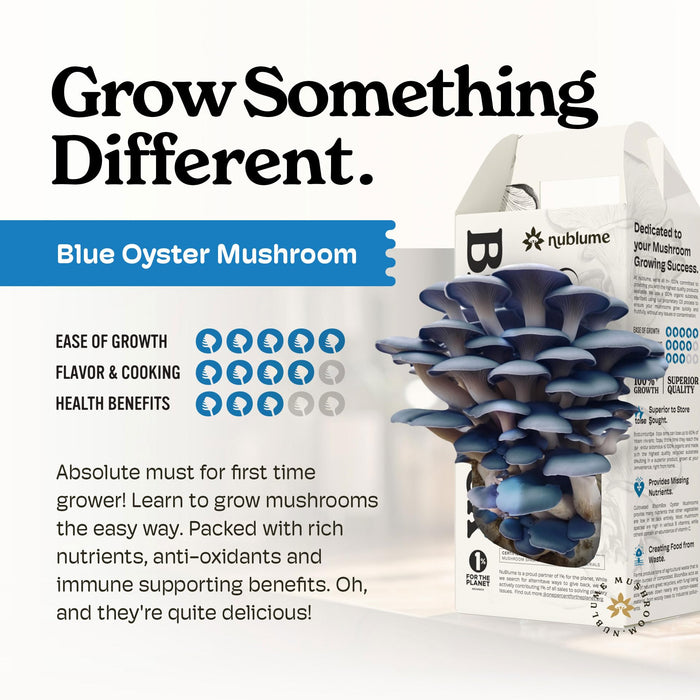 Organic Blue Oyster Mushroom Grow Kit by Nublume Grow Your Own Fresh Gourmet Mushrooms at Home Edible Indoor Mushroom Growing