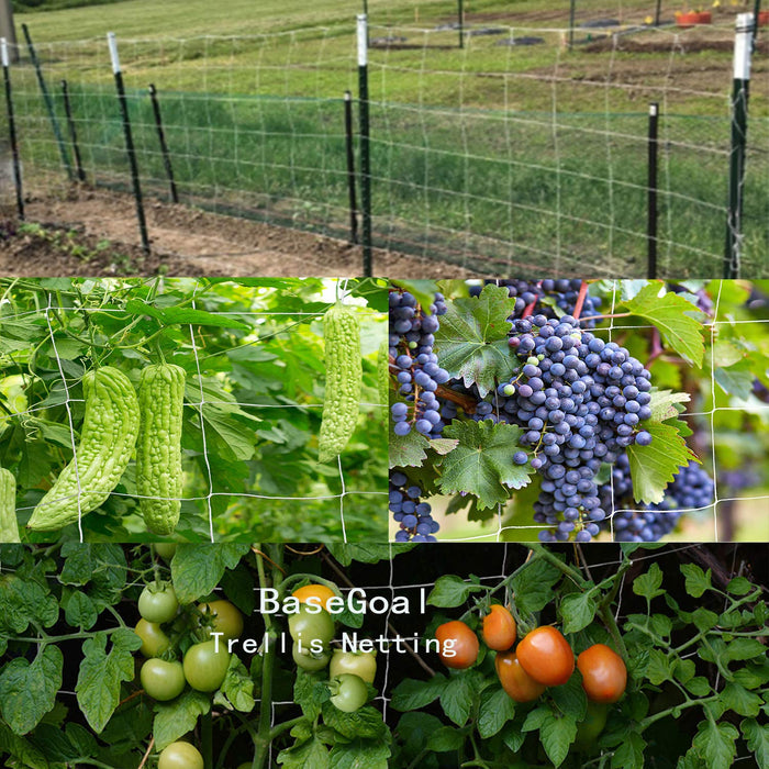 BaseGoal AllWeather Trellis Netting Mesh Plant Garden Vine Growing Flexible String Net 3.5 Mesh ployester, 5' Wx 15'L