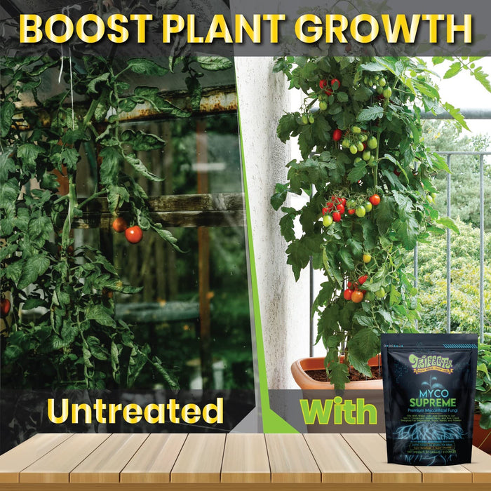 Mycorrhizal Root Enhancer for Bigger, Stronger Plant Roots 20X Concentrated Trifecta Myco Supreme, 57g