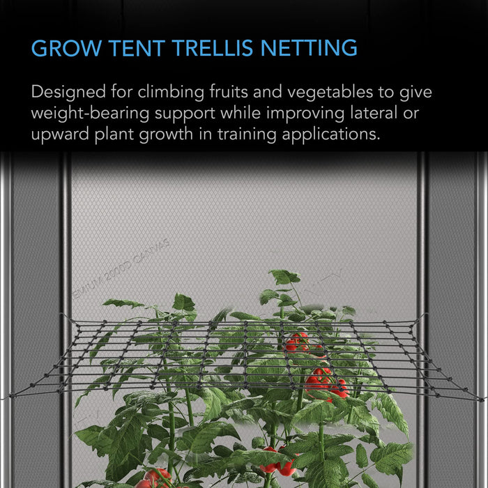 Uniqus Grow Tent Trellis Netting 4x4', HeavyDuty Elastic Plant Net with Steel Hooks, Flexible Hydroponics Support for Grow Tent