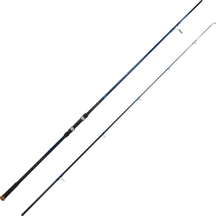 BERRYPRO Surf Spinning Rod Full Carbon Surf Fishing Rod with Fuji SIC Ring (9'/10'/11'/12')