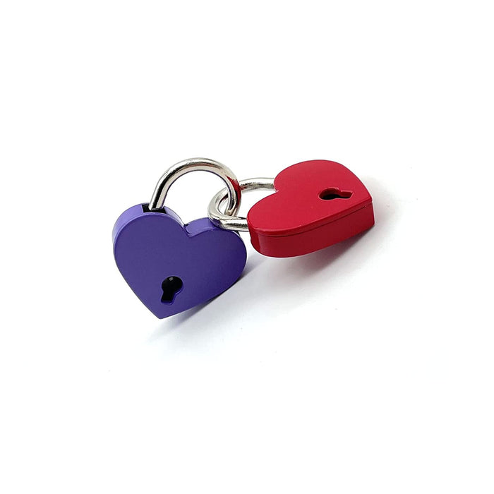 Warmtree Small Metal Heart Shaped Padlock Mini Lock with Key for