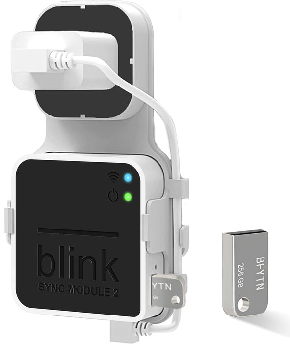 256GB Blink USB Flash Drive for Local Video Storage with The Blink Syn —  CHIMIYA