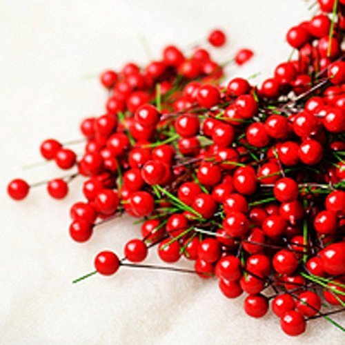 Order Red Holly Berry Branches