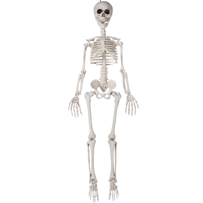 36" Skeleton Halloween Decorations, 3Ft Hanging Posable Realistic Skeleton Decor For Indoor/Outdoor