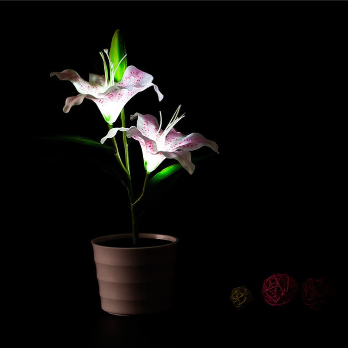 Lily Flower Night Light