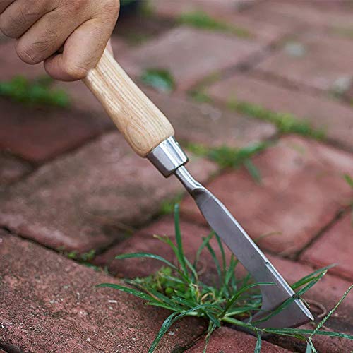 Chiloskit Stainless Steel Wood Handle Crack Weed Puller Tool
