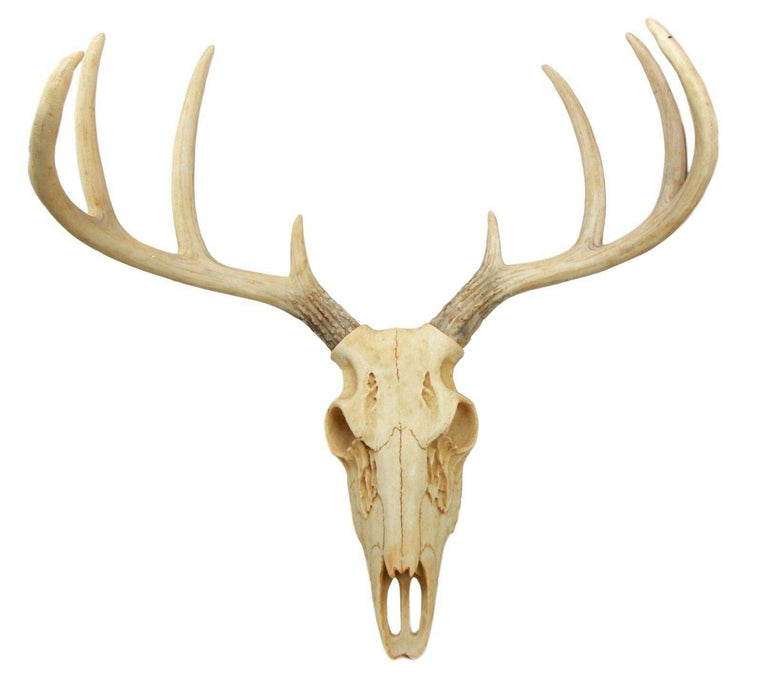 Ebros Rustic Hunter Deer 10 Point Buck Skull Trophy Antlers Wall Mounted Plaque Trophy Decor Figurine 14.25 Long Hunter's