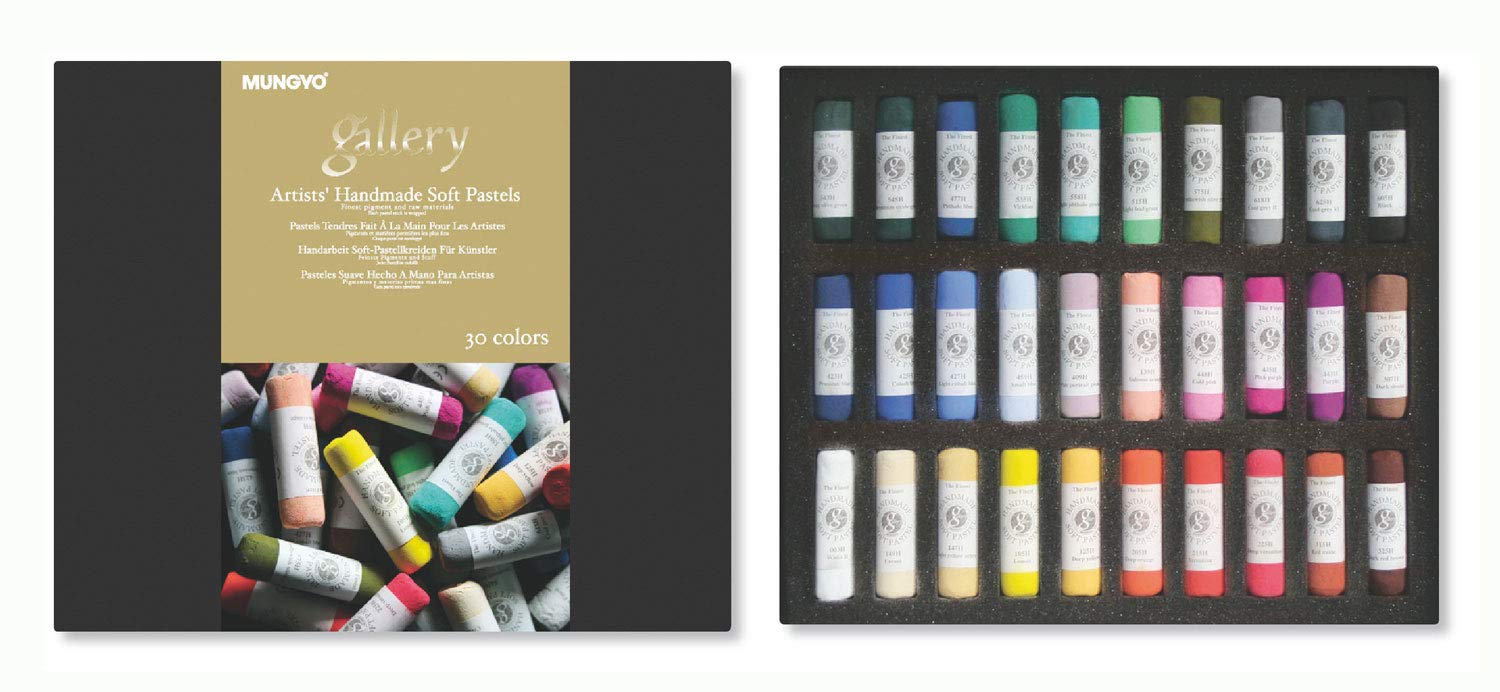 MUNGYO Gallery Artists' Extra Fine Soft Pastel 30 Colors for Professional  Artist