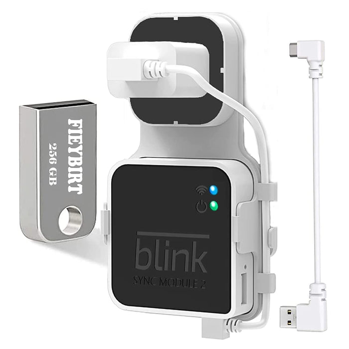Blink Wireless Outdoor 2 Camera Home Security System Mini Indoor & Sync  Module 2