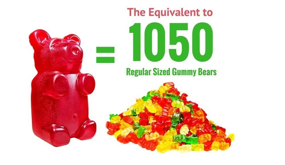 Large Gummy Bear Mold 3-Pack for 105 Candies Silicone Candy Chocolate Molds