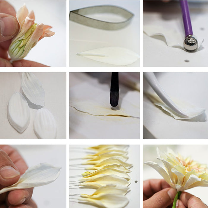 KALAIEN Dahlia Sugar Flower Veining Molds Fondant Cutters Gumpaste Cake Craft Tools(14PCS)