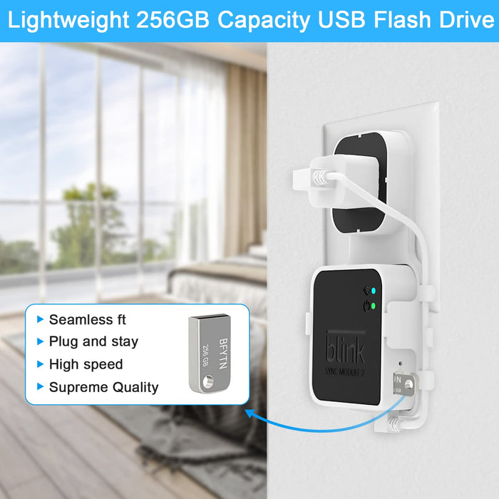 256GB Blink USB Flash Drive and Outlet Wall Mount for Blink Sync Modul —  CHIMIYA