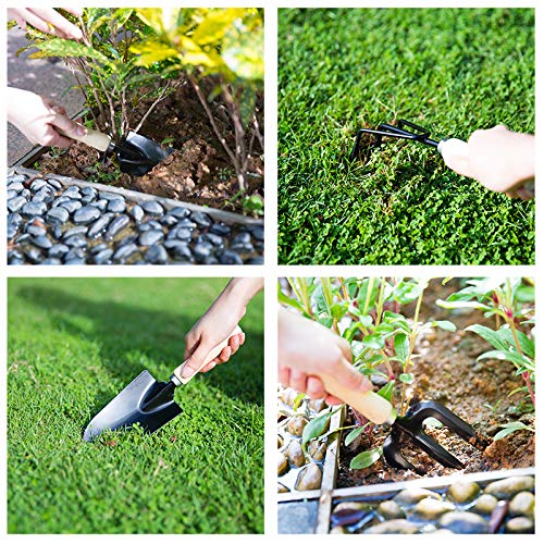 Jhua Garden Tool Set, 10 Pieces Gardening Tools Kit with Purple Flower  Print, Ergonomic Handle Trowel Rake Weeder Pruner Shears Sprayer, Garden  Hand