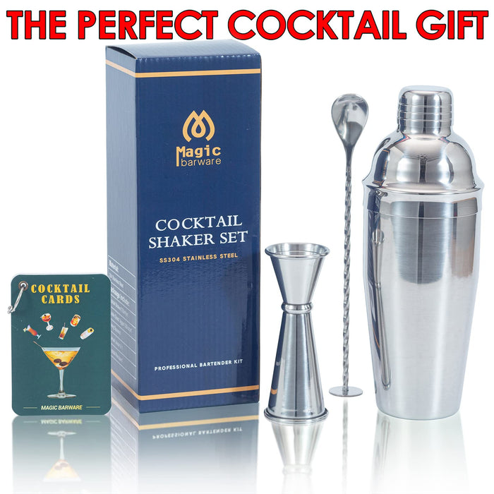 Large 24 oz Stainless Steel Cocktail Shaker Set - Mixed Drink Shaker - —  CHIMIYA