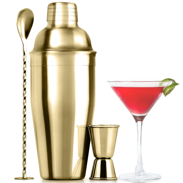 24 oz Cocktail Shaker Set Bartender Kit by Aozita, Stainless Steel Martini  Shaker, Mixing Spoon, Muddler, Measuring Jigger, Liquor Pourers with Dust