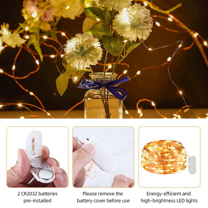 Ariceleo Led Fairy Lights Battery Operated, 1 Pack Mini Battery Powered  Copper Wire Starry Fairy Lig…See more Ariceleo Led Fairy Lights Battery