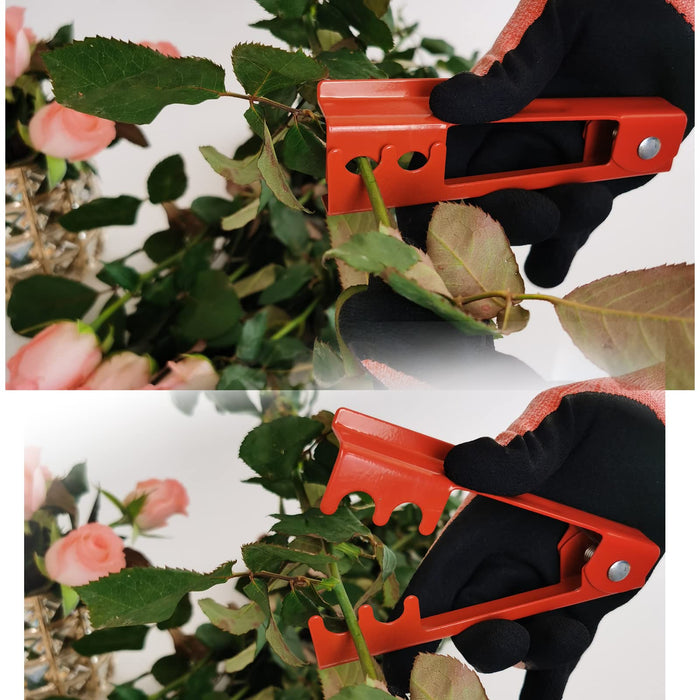 Rose Stem Leaf Thorn Stripper Stripping Tool Thorn Remove Garden Pruning  Shears