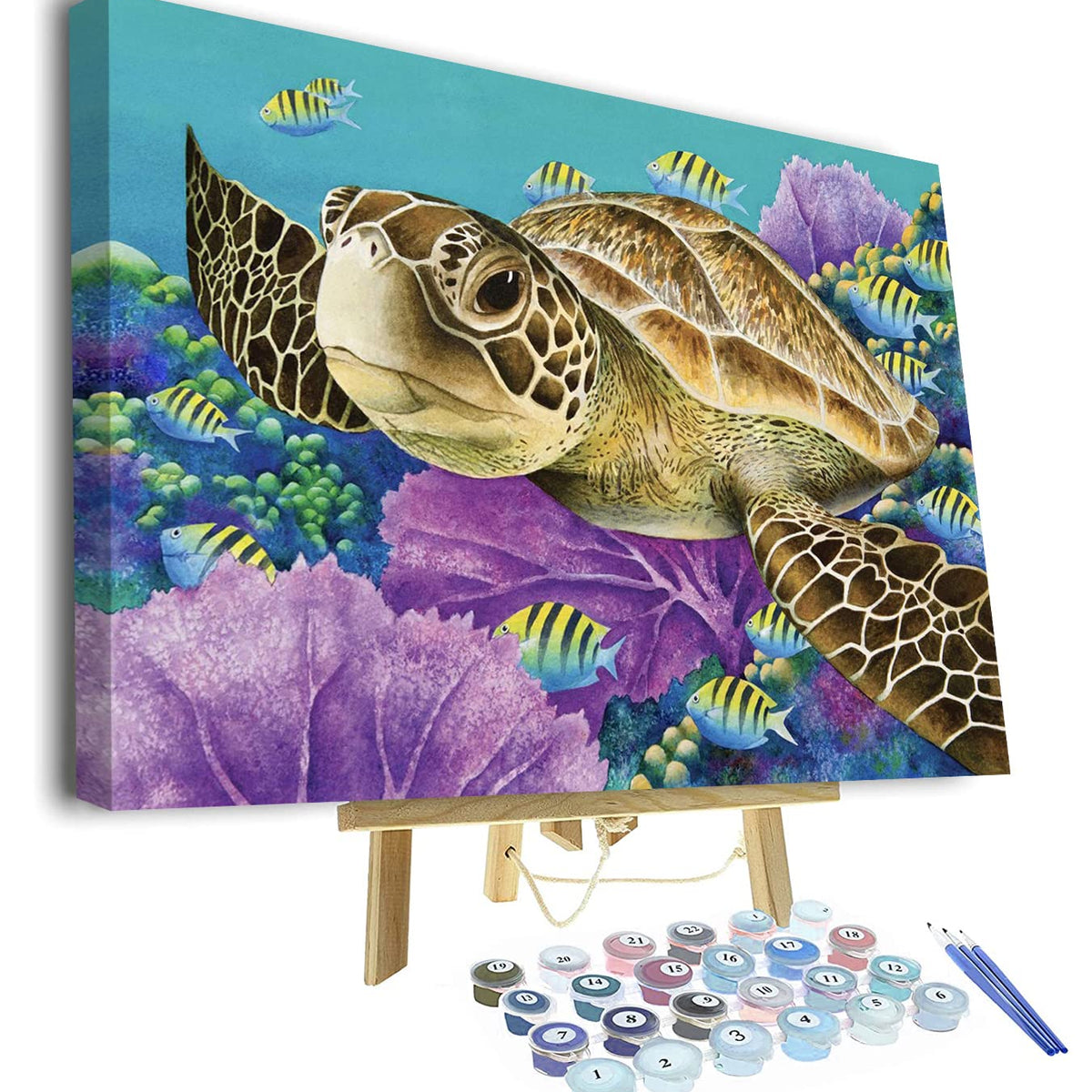 Easy Little Turtle - Paint By Number - Paint by Numbers for Sale