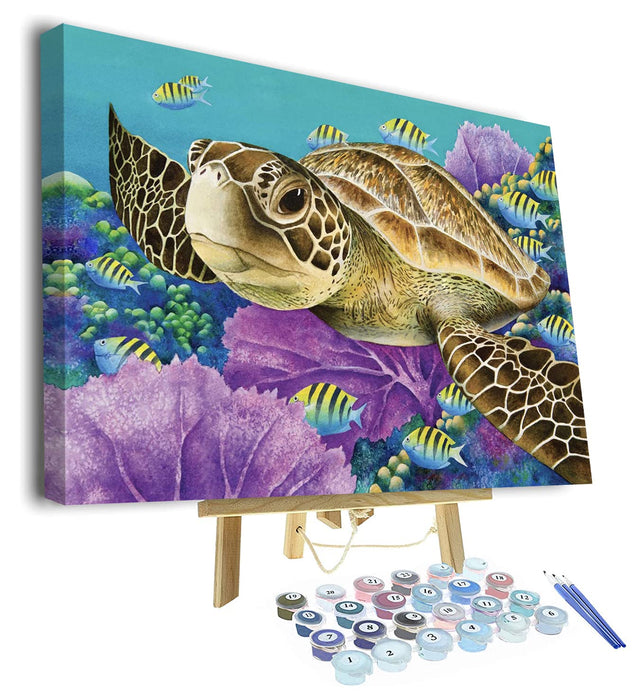 Paint by Numbers for Adults Beginner 16 x 20 Sea Turtle Paint by