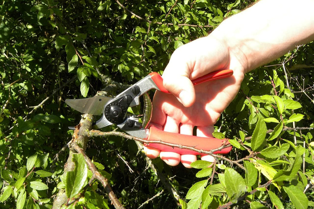 Felco Pruning Shears (F 12) - High Performance Swiss Made One-Hand Garden Pruner with Steel Blade