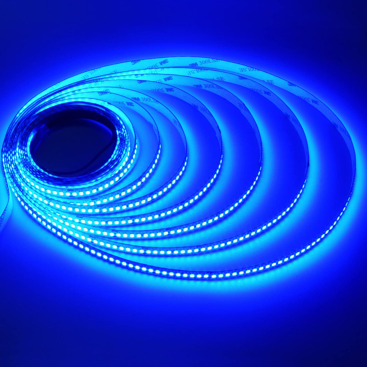 JOYLIT Ultra Bright Blue LED Strip Lights 24V 16.4ft/5M 1120LEDs High —  CHIMIYA