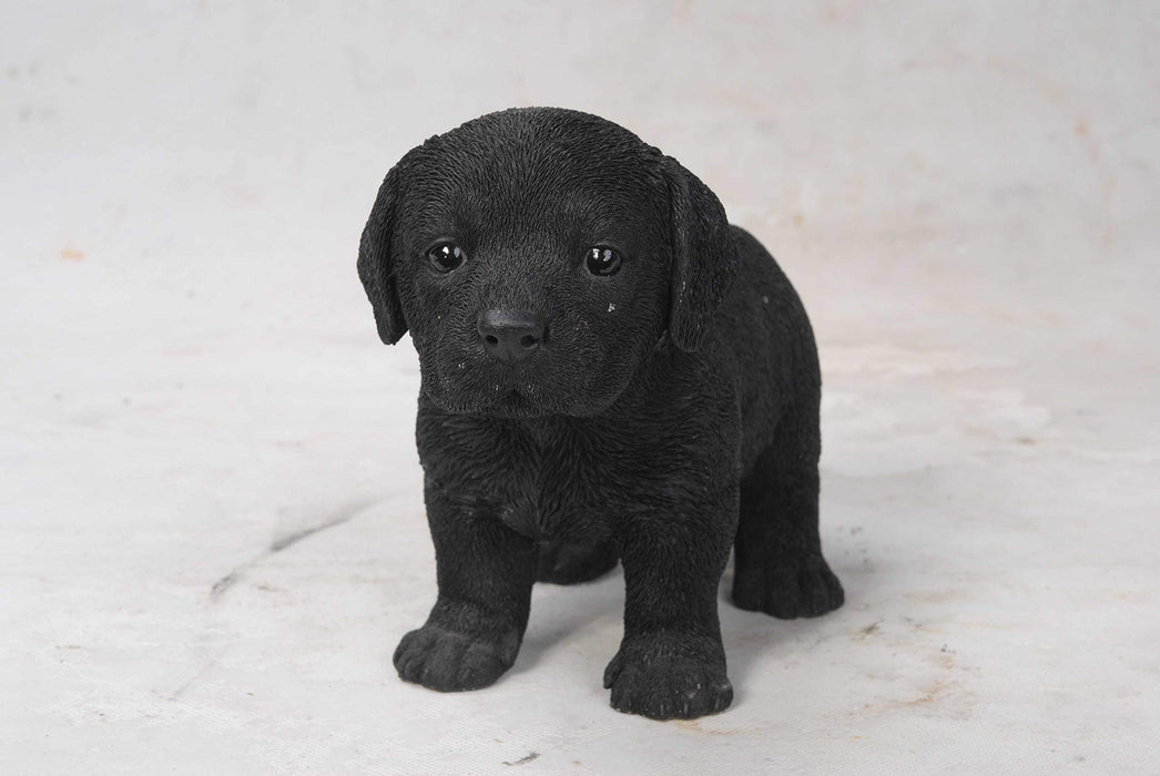 Hi-Line  Ltd Standing Black Labrador Puppy Statue