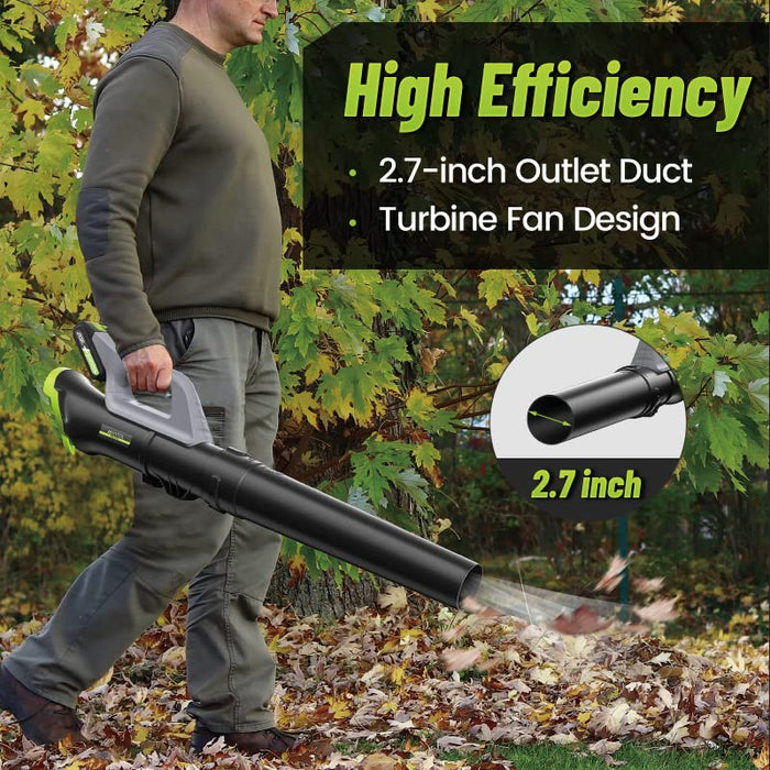 Leisch Life Cordless Leaf Blower Battery Operated,20V Handheld Electric  Leaf Blower w/2.0Ah Battery & Fast Charger, 2 Speed Mode, Lightweight  Battery