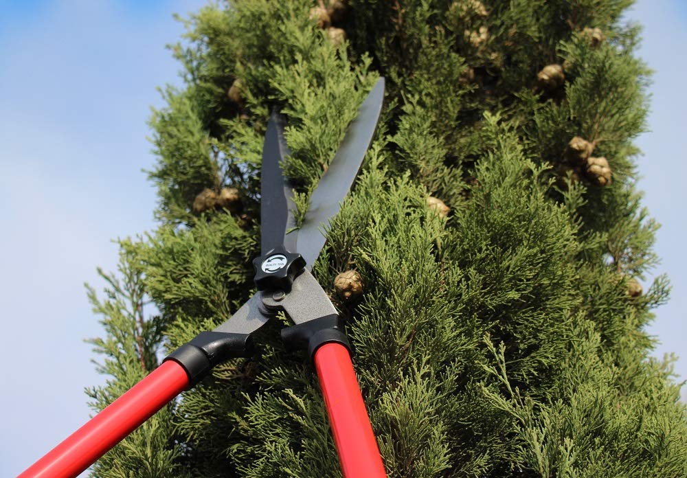 TABOR TOOLS B212A Telescopic Hedge Shears with Wavy Blade and Extendable Steel Handles. Extendable Manual Hedge Clippers for Trimming Borders, Boxwood, and Tall Bushes.