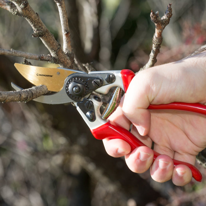 ClassicPro Titanium Pruning Shears - Best Tree Trimmer, Garden Shears, Hand
