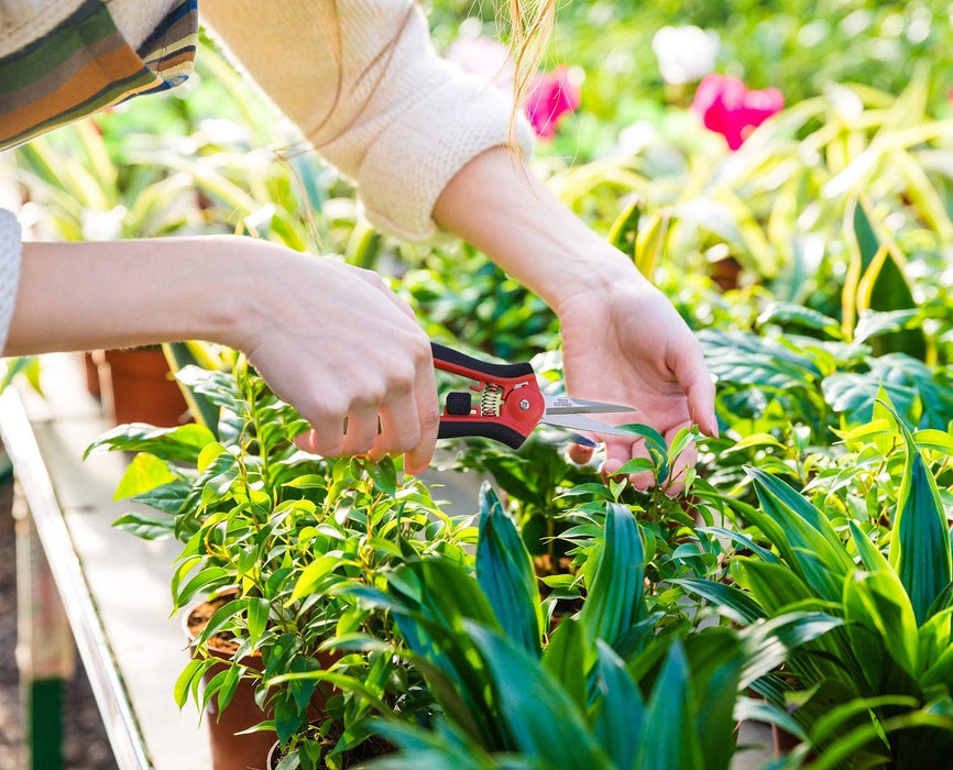 Green Micro Tip Garden Shears for Precise Trimming - Lightweight, Stainless  Steel Hand Pruners, Flower Trimmers, and Bonsai Snippers