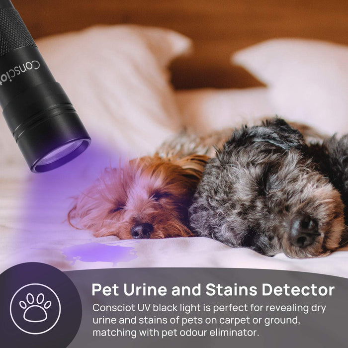 UV Black Light Flashlight, Consciot 12 LED 395nm Handheld Ultraviolet Flashlight, Portable Blacklight Detector Mini Torch Light for Dog Cat Pet Urine Stain, Bed Bug, 3 AAA Batteries Included