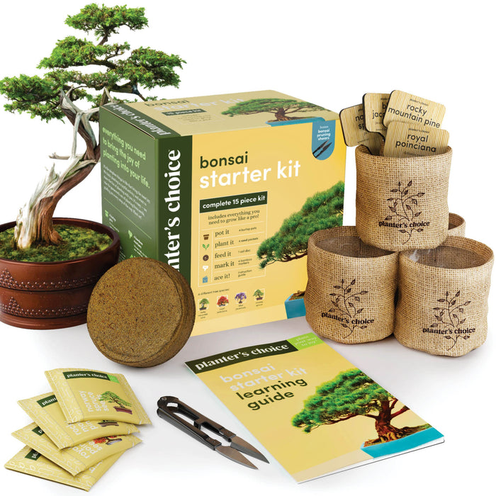 Bonsai Starter Kit - Gardening  for Women & Men - Bonsai Tree Growing Garden Crafts Hobby Kits for Adults, Unique DIY Hobbies for Plant Lovers - Unusual Christmas s Ideas, or Gardener Mother