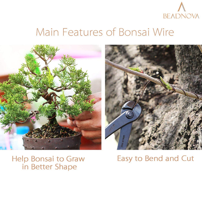 Bonsai Training Wire 5-Size Starter Set - Anodized Aluminum - Grow A Bonsai  Tree