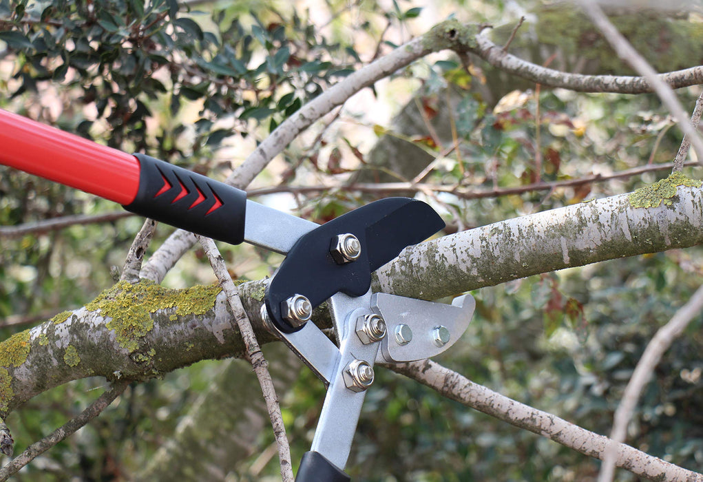 TABOR TOOLS GG12A Anvil Lopper with Compound Action, 30 Inch Tree Trimmer, Branch Cutter with ⌀ 2 Inch Cutting Capacity, Chops Thick Branches with Ease.