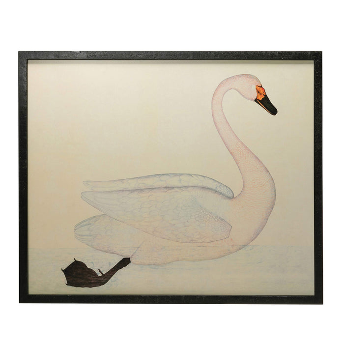 Creative CoOp Wood & MDF Framed Vintage Reproduction Swan Image, White Wall Dcor