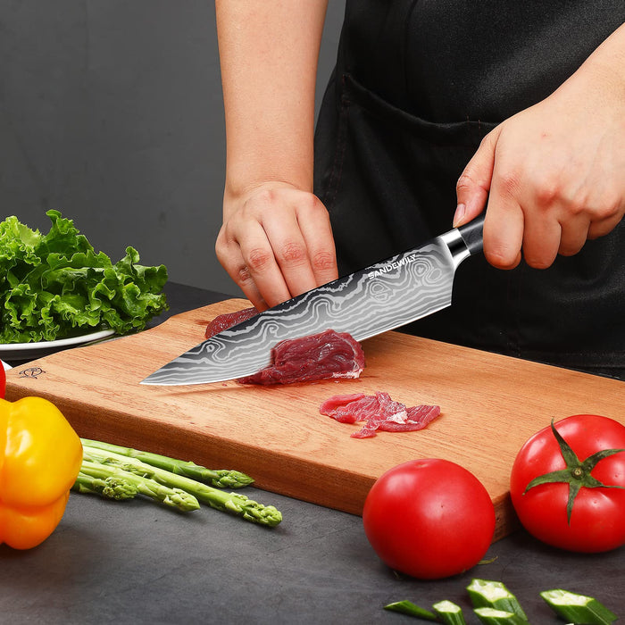 SANDEWILY 3 Piece Japanese Ultra Sharp Kitchen Chef Knife Set Pro