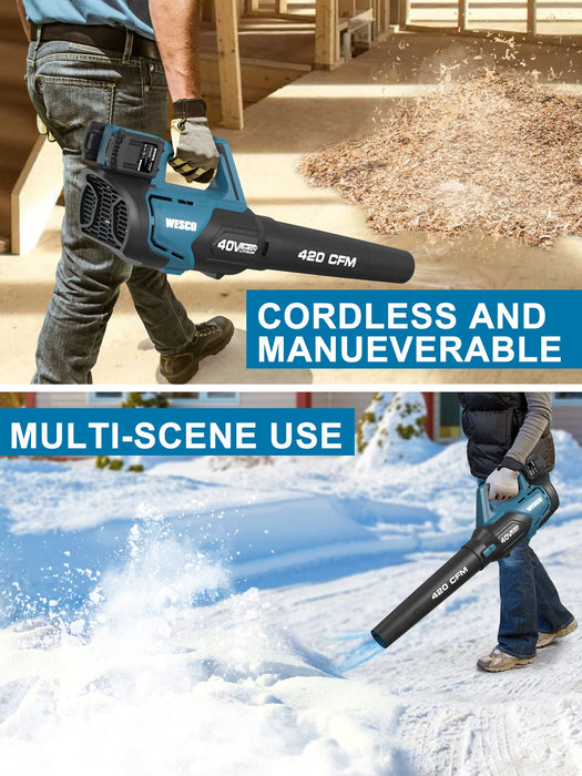Cordless Leaf Blower,20V Handheld Electric Leaf Blowers with 2.0Ah