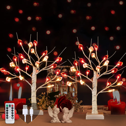  24 Inch Lighted Valentine Tree with 12 Rattan Hearts, 24 LED  Valentine's Day Decor Lighted Birch Tree, 8 Modes, Remote Control,  USB/Battery Operated, for Valentine's Day Party Decor (Red, White) 