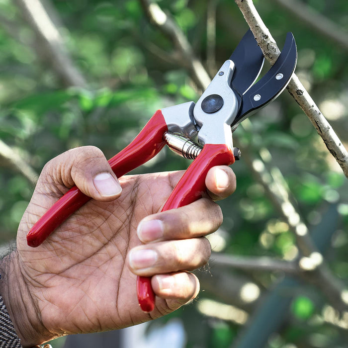Pruner Garden Scissors Shear Professional Sharp Bypass Pruning Shears Tree  Cutter Trimmers Secateurs Hand Gardening Pruning Tool