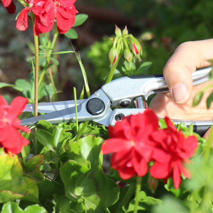 TABOR TOOLS K18A Pruning Shears with Straight Japanese Style Blades, Florist Scissors, Multi-Tasking Garden Snips for Arranging Flowers, Trimming Plants and Harvesting Herbs, Fruits or Vegetables.