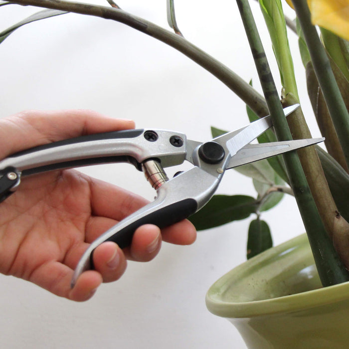 TABOR TOOLS K18A Pruning Shears with Straight Japanese Style Blades, Florist Scissors, Multi-Tasking Garden Snips for Arranging Flowers, Trimming Plants and Harvesting Herbs, Fruits or Vegetables.