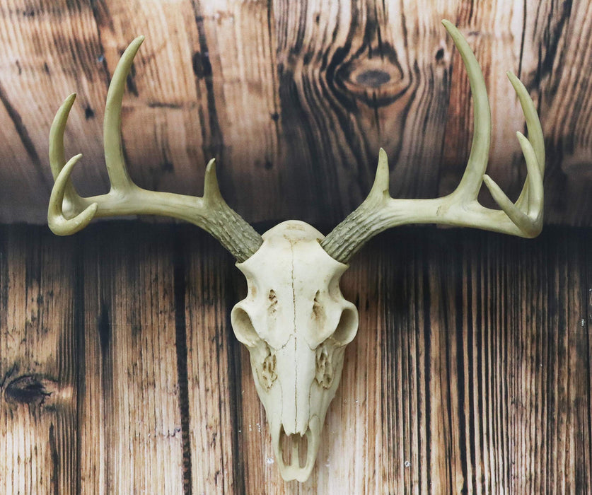 Ebros Rustic Hunter Deer 10 Point Buck Skull Trophy Antlers Wall Mounted Plaque Trophy Decor Figurine 14.25 Long Hunter's