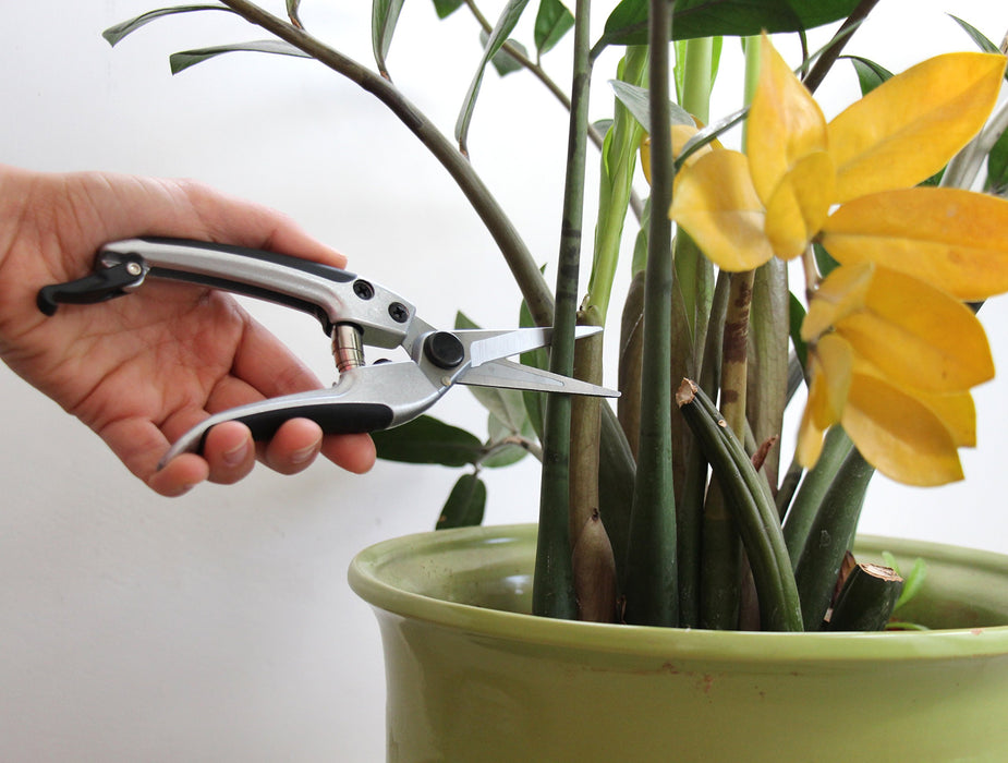 TABOR TOOLS K18A Pruning Shears with Straight Japanese Style Blades, Florist Scissors, Multi-Tasking Garden Snips for Arranging Flowers, Trimming Plants and Harvesting Herbs, Fruits or Vegetables.