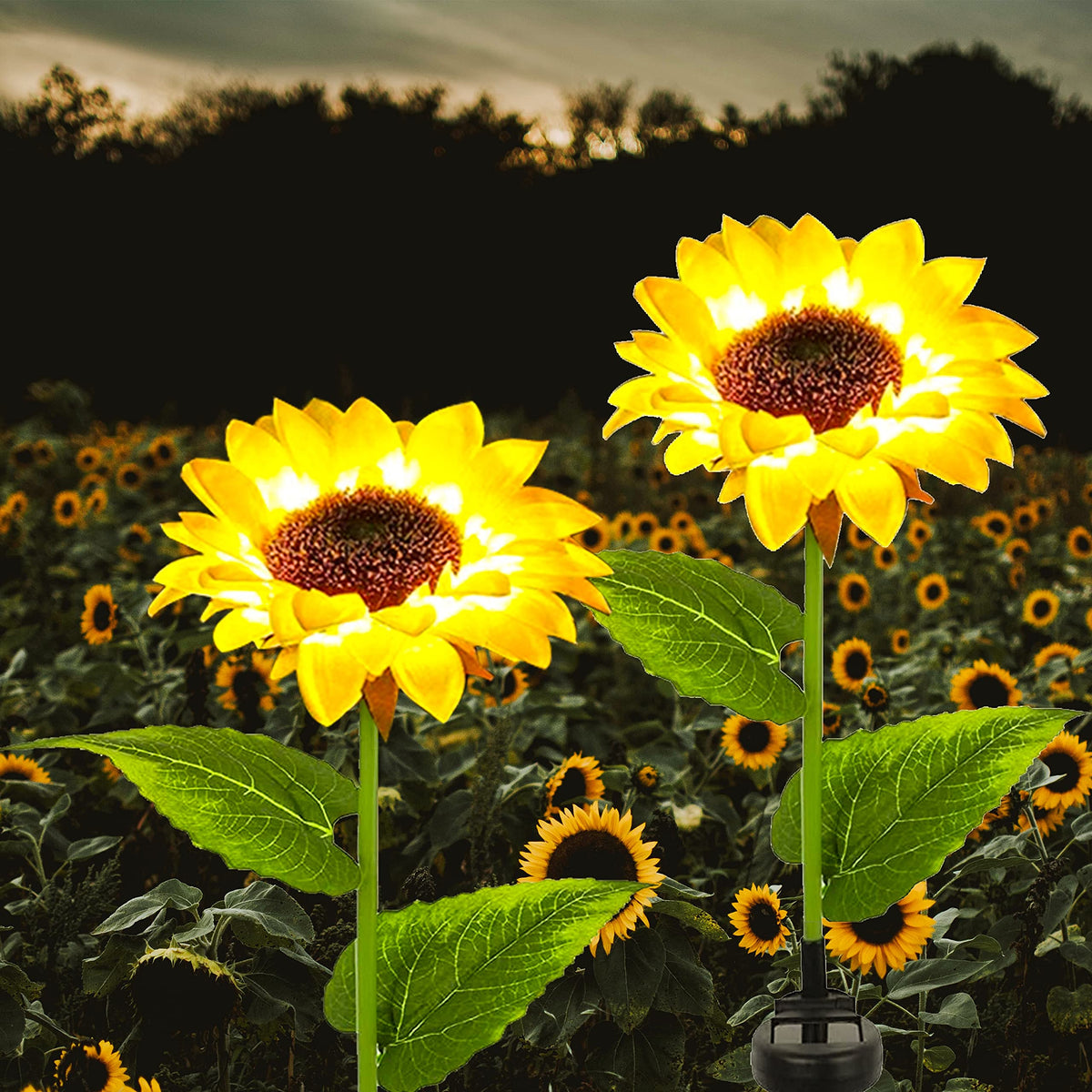 FELISHINE Solar Sunflower Stake Garden Lights, Pack Waterproof LED O —  CHIMIYA