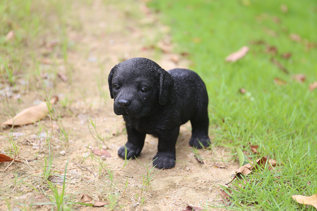 Hi-Line  Ltd Standing Black Labrador Puppy Statue
